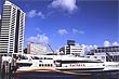 Auckland City