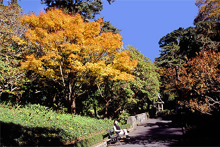 NEXT Autumn photo