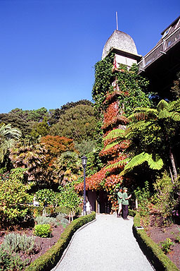 NEXT Treehouse Visitor Centre Wellington Botanical Gardens photo