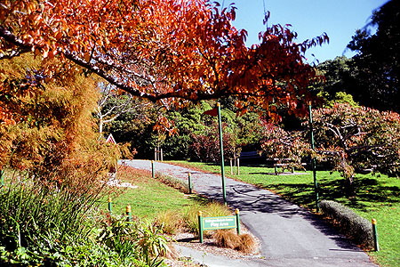 NEXT Autumn photo