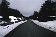 Mountain Rd photo