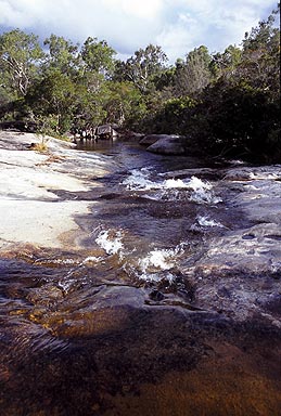 Davies Creek photo