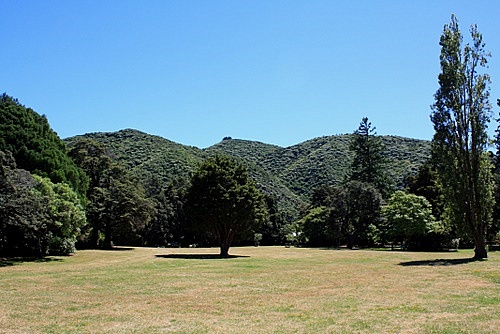 Harcourt Park photo