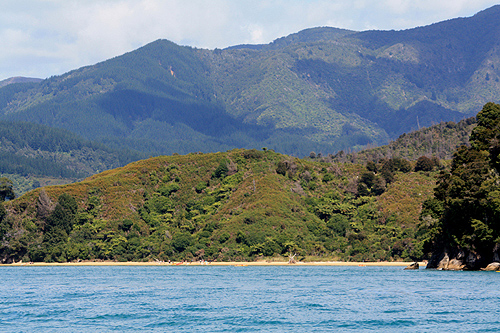 View from ferry to Abel Tasman photo