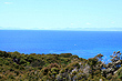 Tasman Sea photo