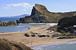 Castlepoint View photo