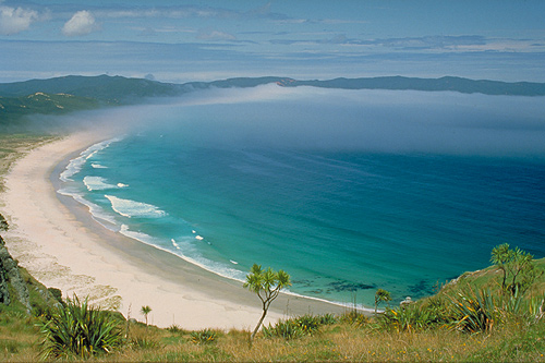 New Zealand Coastline photo