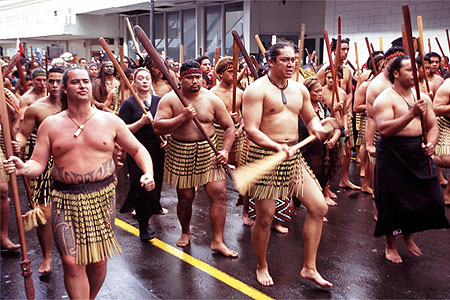 Maori Protestors photo