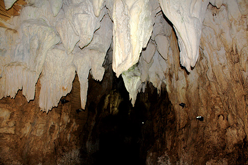 Aranui Cave Stalactites photo