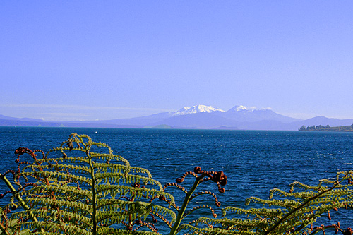 Lakefront View Taupo photo