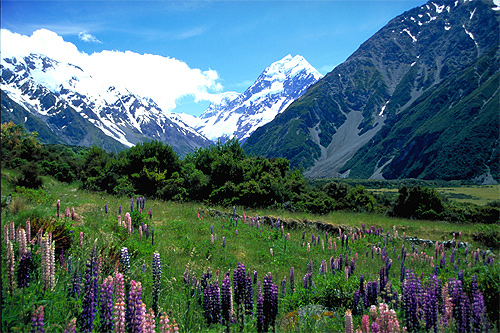 New Zealand photos