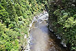 Hutt River Gorge photo