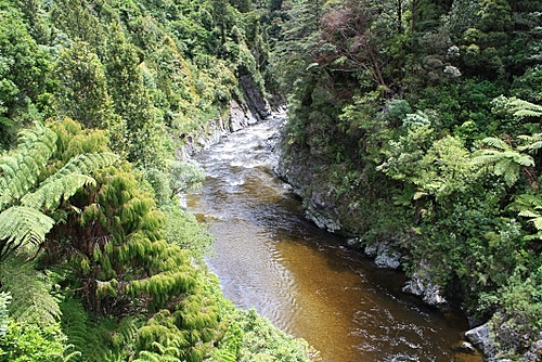 Tongariro National Park photo