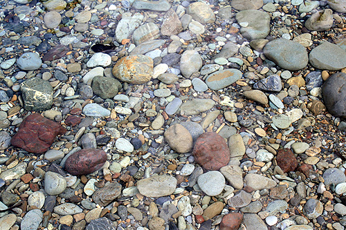 River Stones Pelorus River photo