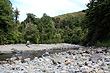 Southern Waiotauru photos