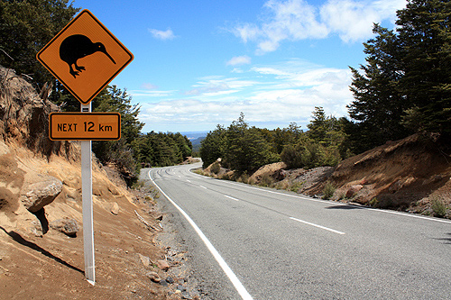 Kiwi Road Sign Mt Ruapehu photo