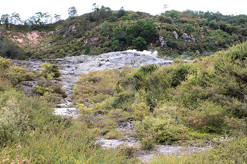 Volcanic Rock and Vegetation photo